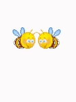 pic for bumblebee love